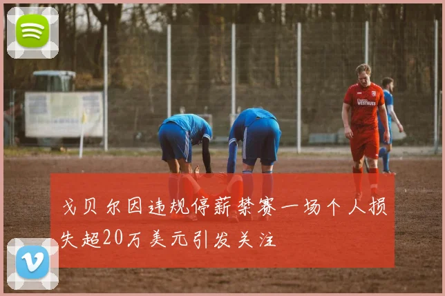 戈贝尔因违规停薪禁赛一场个人损失超20万美元引发关注